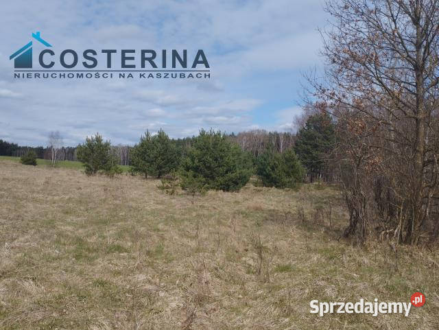 Działka Karsin 1222m2