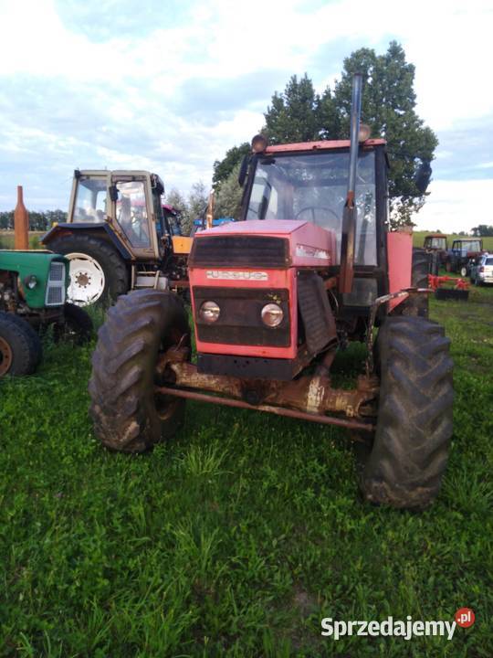 Ursus 1224 Ursus Brodnica