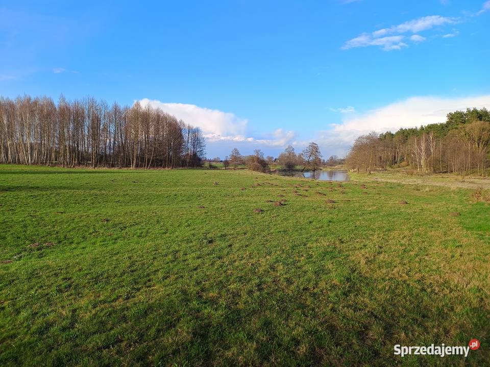 Dziewicza działka z linią brzegową rzeki Wkry 05 Szyjki sprzedam