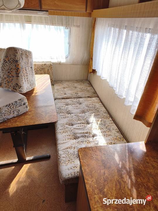 Przyczepa kempingowa lekka Dmc 800 idealna Kempingowe