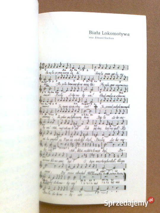 Edward Stachura Piosenki