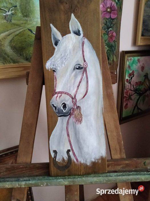 Konie na starych deskach