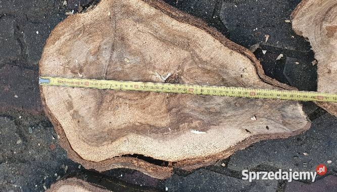 Plastry drewna orzech