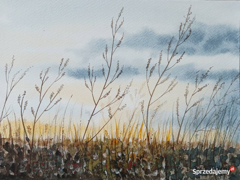Akwarela Akwarelka Obraz pt Marzenie 24 x 18 Łódź