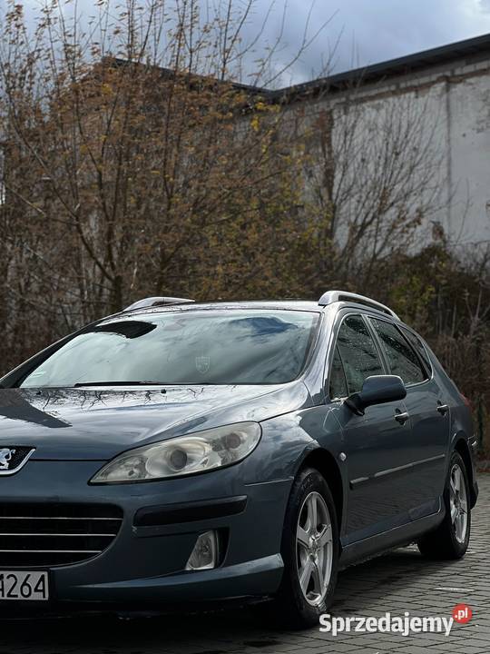 Peugeot 407 SW 2005 lubelskie Opole Lubelskie