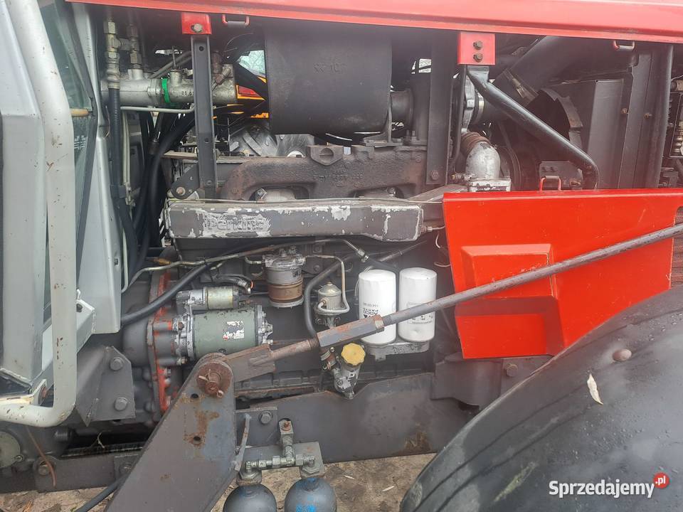 Massey Ferguson 3645 lubelskie Ruda-Huta