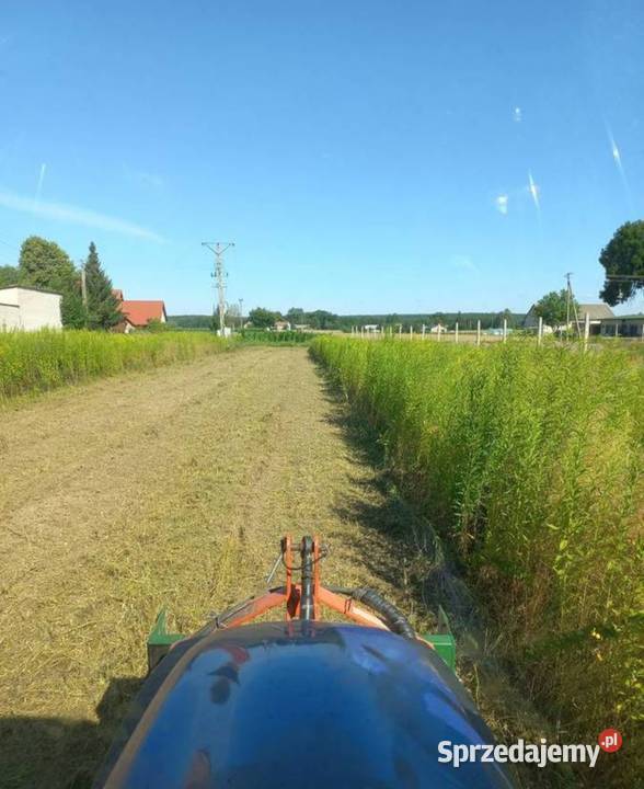 USŁUGI OGRODNICZE WOLA MYSŁOWSKA Wola Mysłowska