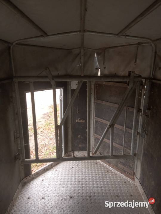 Przyczepka samochodowa Do przewozu koni podlaskie Puńsk