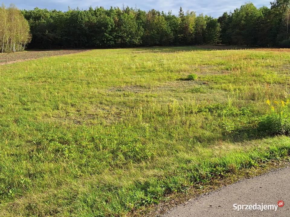 Działka budowlana Szczucin