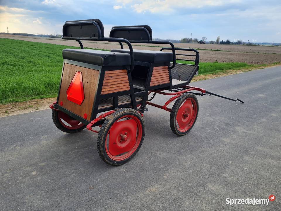 Bryczka do konia wielkopolskie