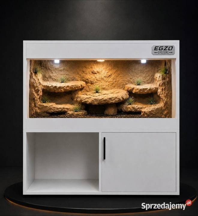 Terrarium żółwia greckiego gekona lamparciego