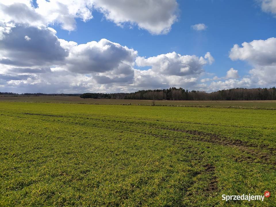 Działka tapeta z Windows XP Kaczkowo sprzedam