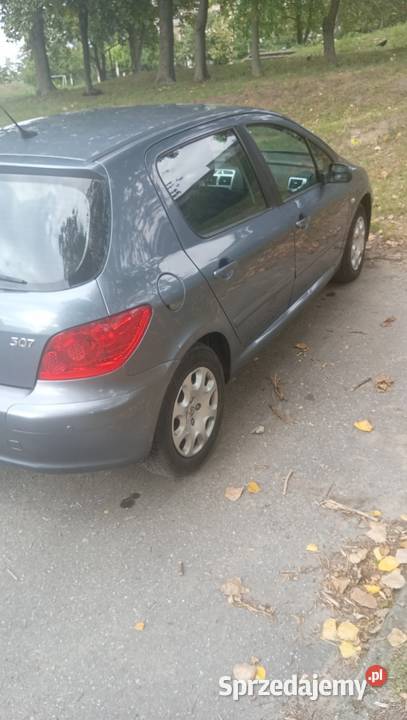 Peugeot 307 mały przebieg 168000 komputer pokładowy Radom