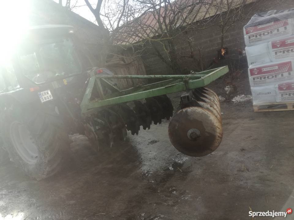 Talerzówka Studzianki