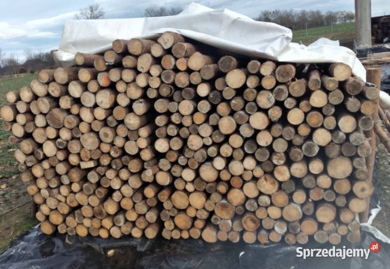 Stemple szalunkowe drewniane 461 sztuk 10 Materiały budowlane Grodków