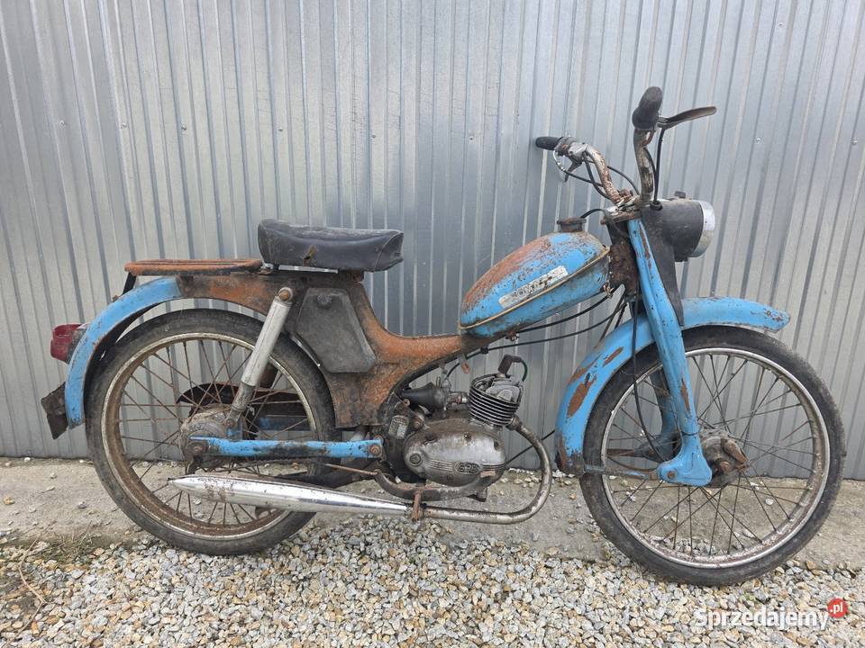 Komar dolnośląskie Bratoszów