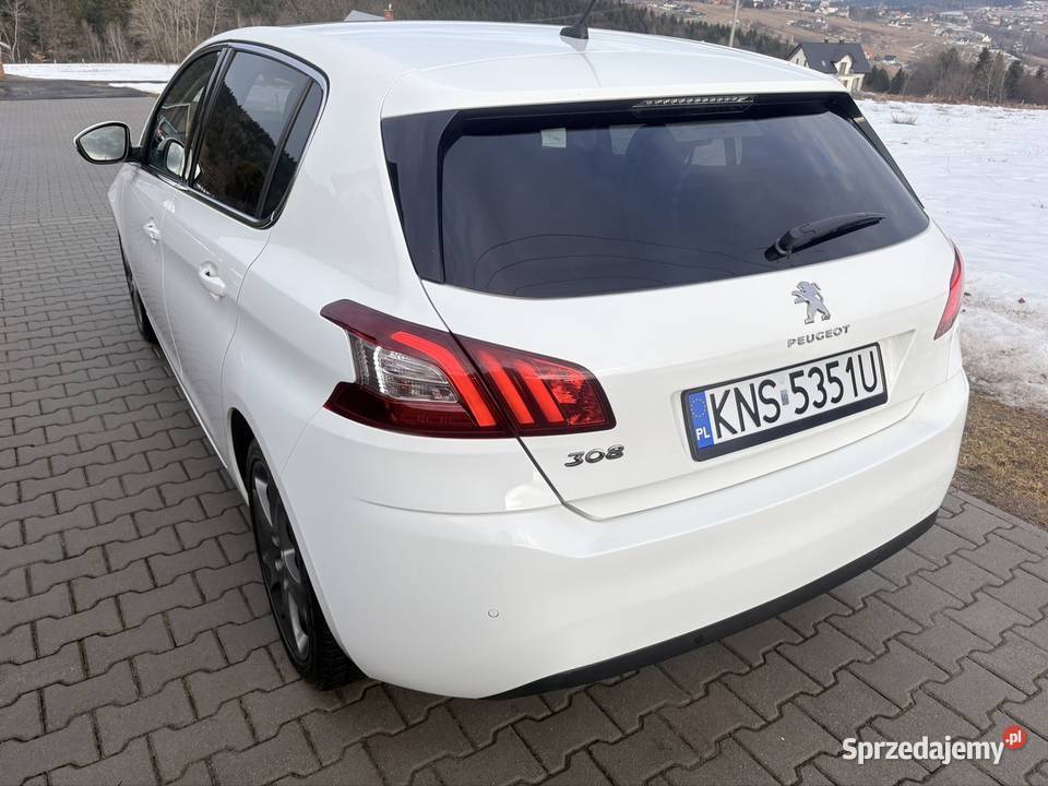 308 T9 lift Niski Przebieg małopolskie Nowy Sącz