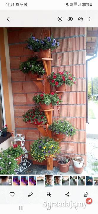 Kwietnik Zduńska Wola