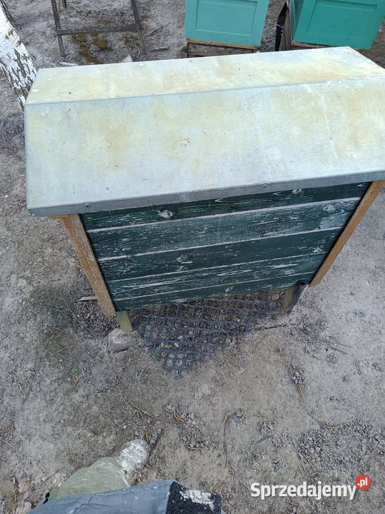 Ule warszawskie Kielce