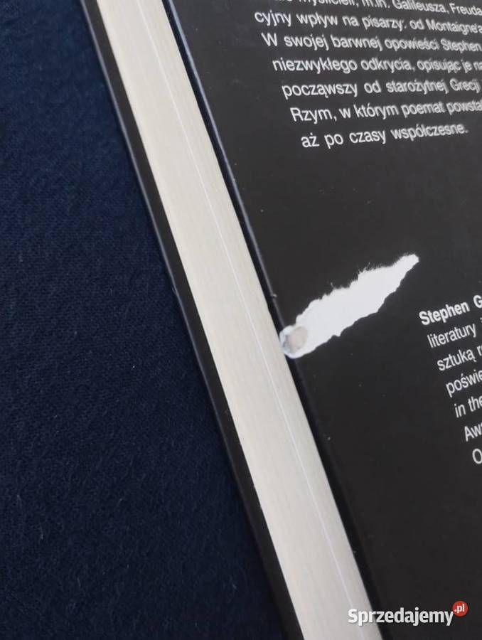 Zwrot zaczął się renesans Stephen Greenblatt Książki naukowe i popularnonaukowe łódzkie