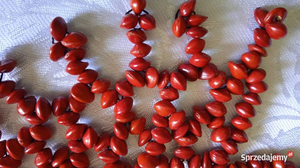 EGZOTYCZNA KOLIA RĘCZNIE WYKONANA Z NASION Piła