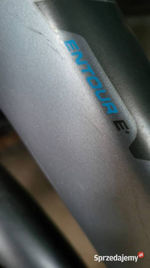 Uszkodzony rewer elektryczny damski Giant Yamaha Gogolin sprzedam