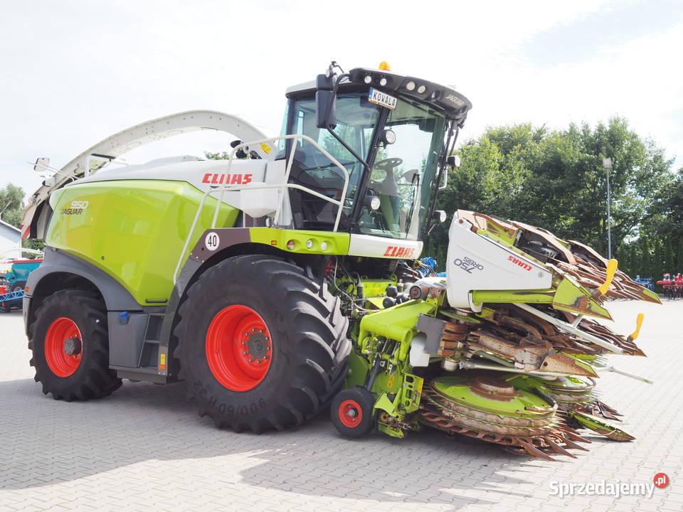 Claas Jaguar 950 4WD Orbis 750 Sieczkarnia Stęszew