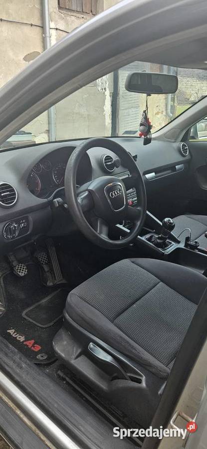 Audi A3 8P 19tdi 105KM Olszanka