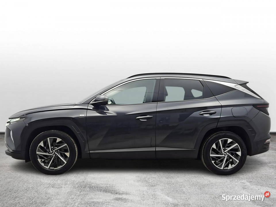 Hyundai Tucson 16 TGDi Executive 2WD Z Polskiego Warszawa