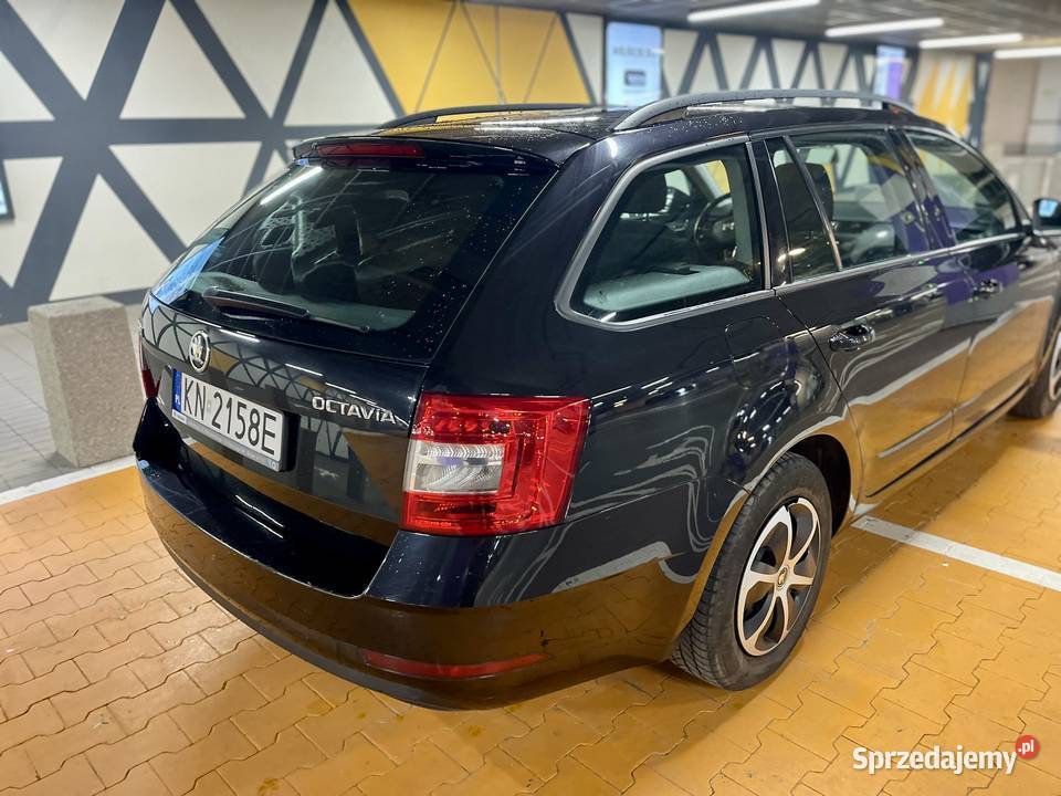Skoda Octawia Activ 110 1000cm3 Octavia podkarpackie Rzeszów
