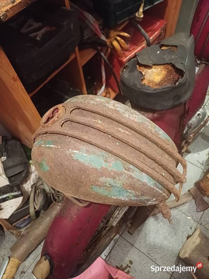 Ryś Żak wfm małopolskie Kalwaria Zebrzydowska sprzedam