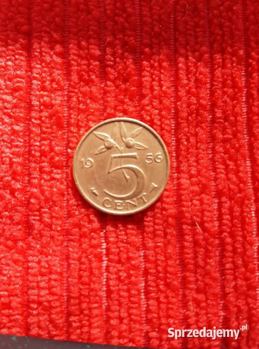 Holandia 5 cent z 1956 Juliana braz Numizmatyka Gliwice sprzedam