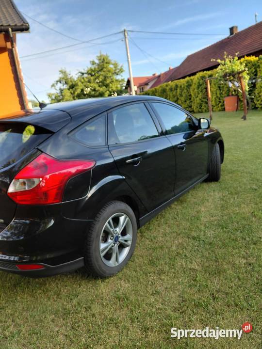 Ford focus 2014r Leżajsk