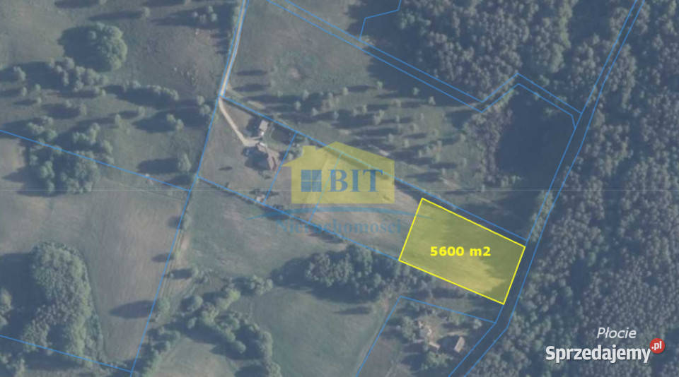 Działka 5600m2 pod lasem Płocie zachodniopomorskie