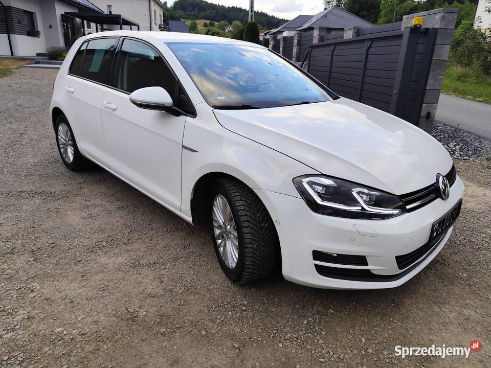 Volkswagen Golf VII 16 TDI 110 manualna