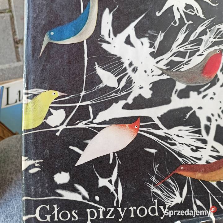 Głos przyrody album gdańska szafa z książkami Gdańsk