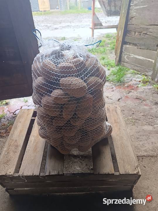 Sprzedam mazowieckie Żelazowa Wola