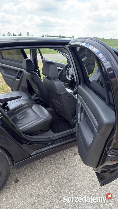 Opel Signum 19 CDTI 150 Skóra Xenon Navi PDC Białystok