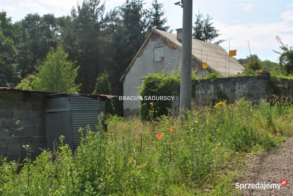 Ogłoszenie grunt Kraków Fosą 2960m2 woda sprzedam