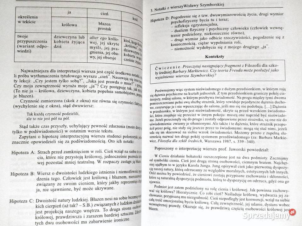 Scenariusze półwariackie Stanisław Bortnowski Chełm sprzedam