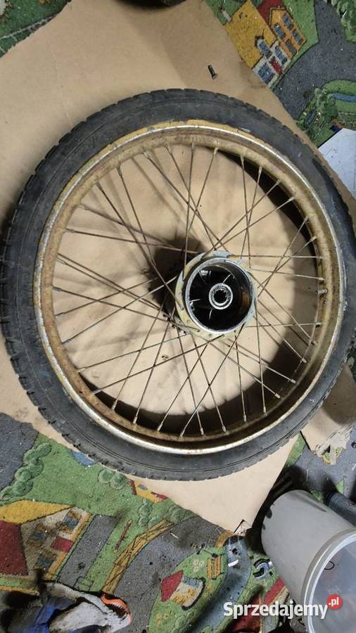 Komar koło Hryniewicze