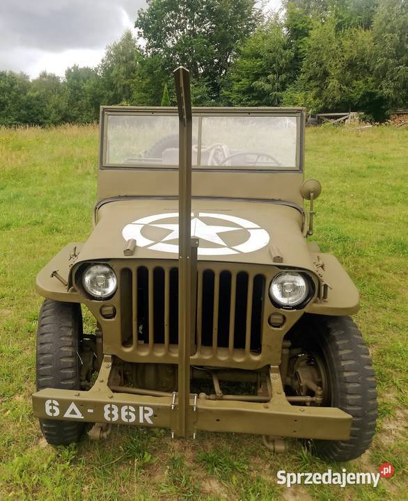 Jeep Willys MBCJ 1949 Willys Leśno