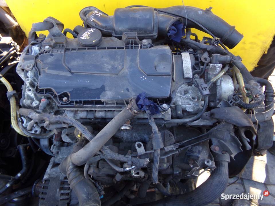 VIVARO TRAFIC PRIMASTAR 20 DCI EURO 5 13r 114 osobowe Suków