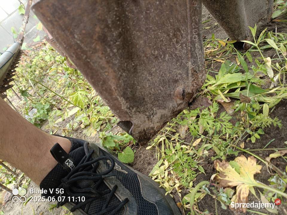 Sprzedam siewnik poznaniak Siewniki i sadzarki Tuczna