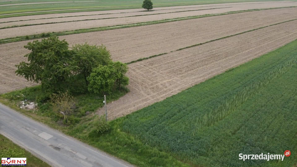 Działka Uszczyn 2000m2