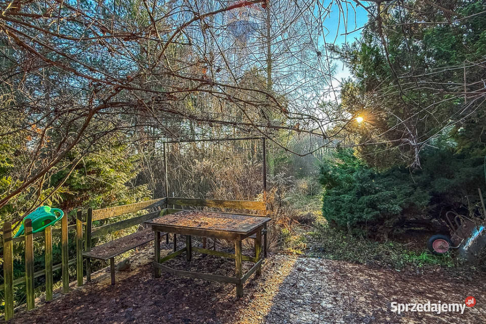 Dom z dużą działką lesie Kębliny g Zgierz Nieruchomości