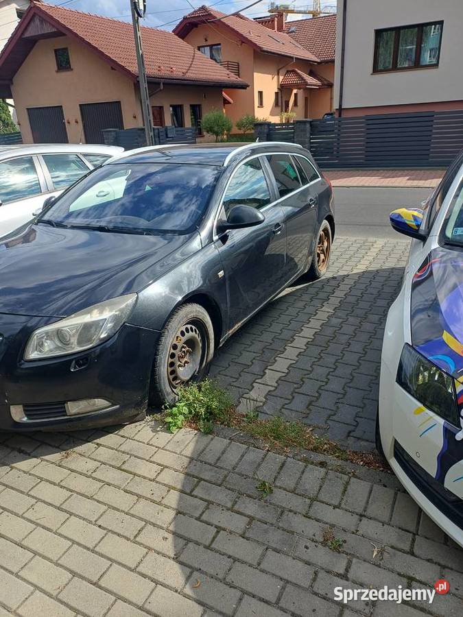 Opel Insignia 2010 Rok produkcji 2010 Insignia Bielsko-Biała