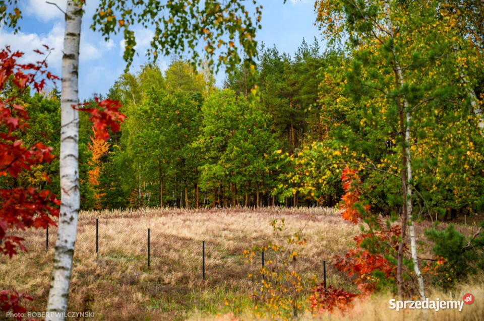 Prywatne Wzgórze Morenowe Panorama i Cisza w Sprzedaż Jeziórka