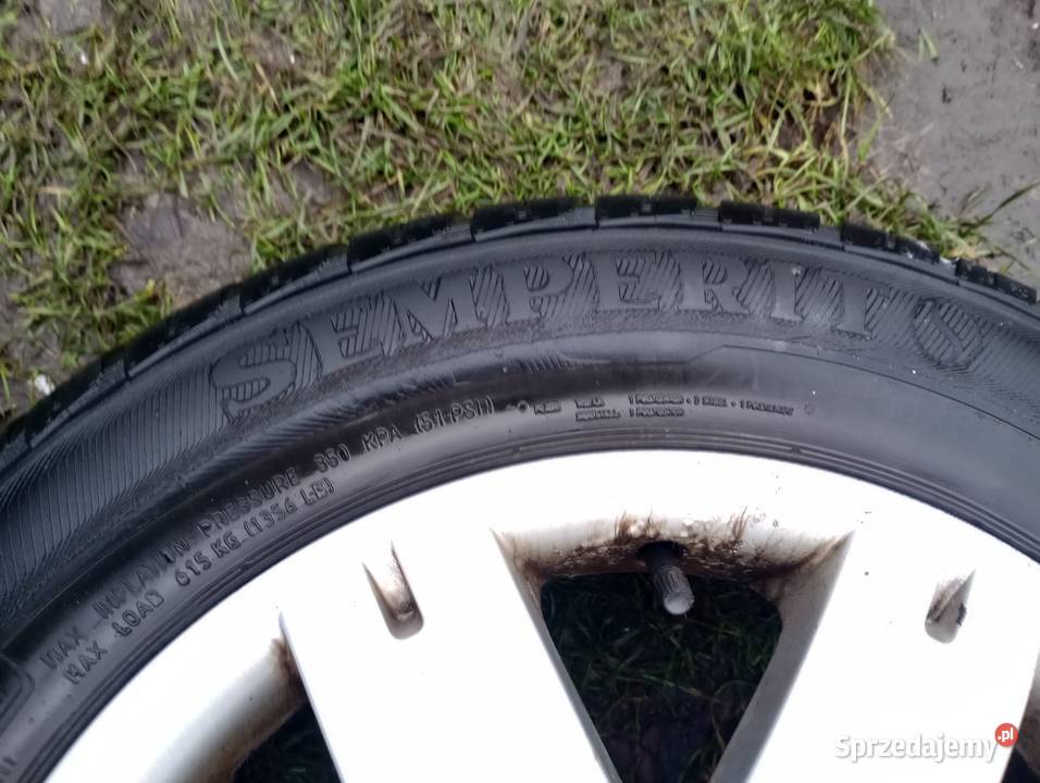 Opony Zimowe 2055516 Semperit Dwie Włocławek