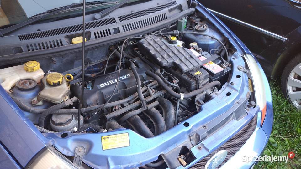 Ford Streetka ładny Mińsk Mazowiecki